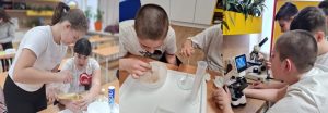 daroviti učenici
