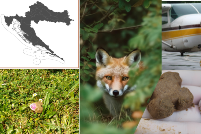 kampanja oralne vakcinacije lisica