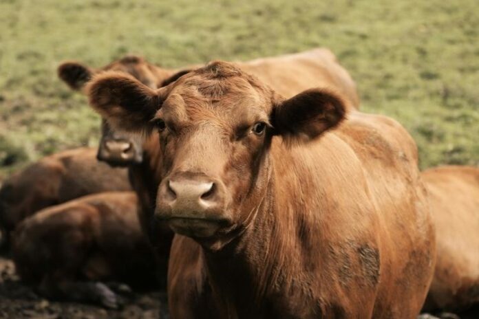 ministarstvo poljoprivrede