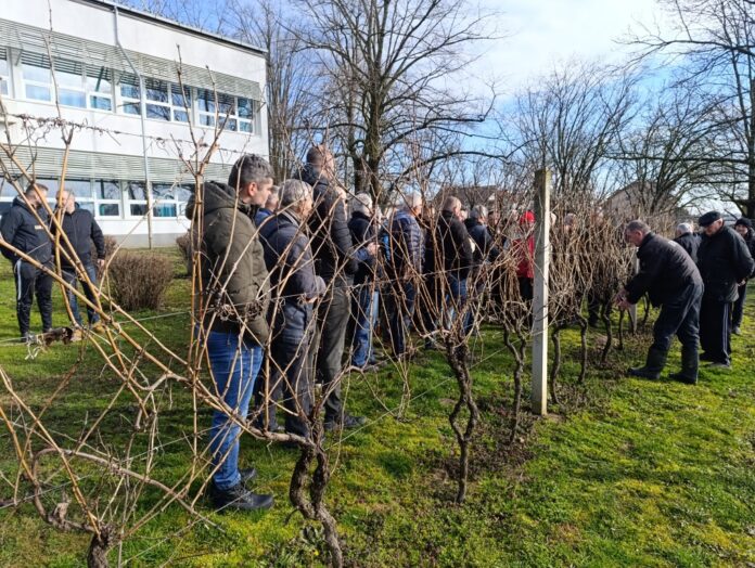 voćari i vinogradari