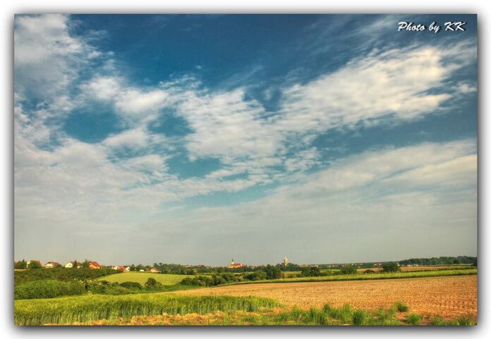 našice