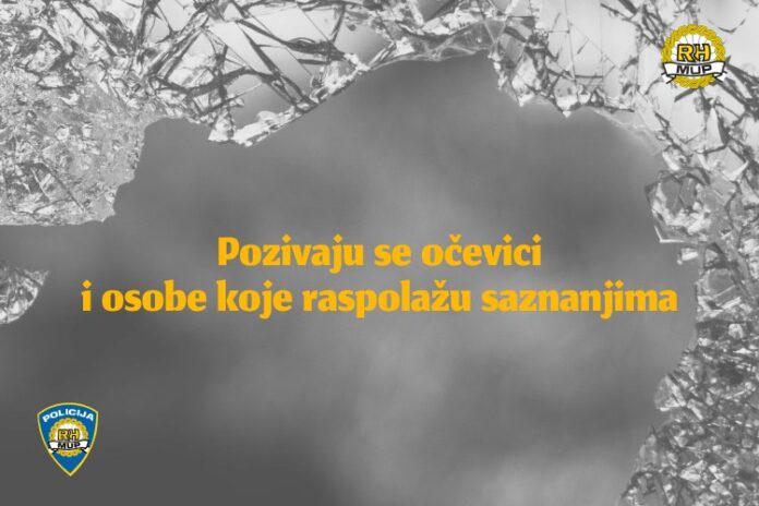 policija